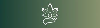 Associação Mãe Terra